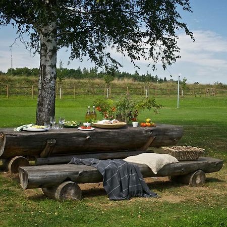 Apartmán Statek Topělec Appartman I Písek Exteriér fotografie